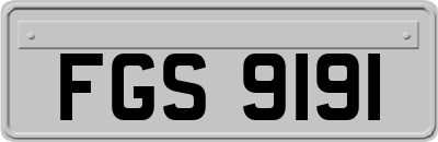 FGS9191