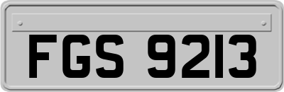 FGS9213