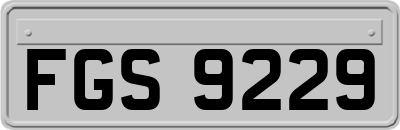 FGS9229