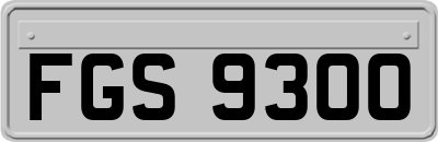 FGS9300