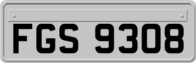 FGS9308