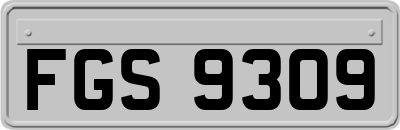FGS9309