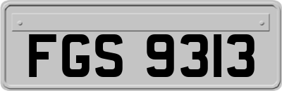 FGS9313