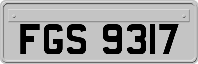 FGS9317