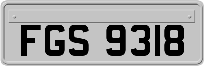 FGS9318