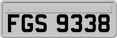 FGS9338