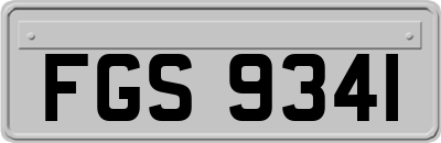 FGS9341