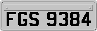 FGS9384