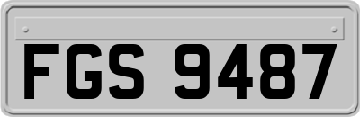 FGS9487