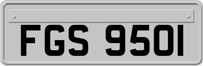 FGS9501
