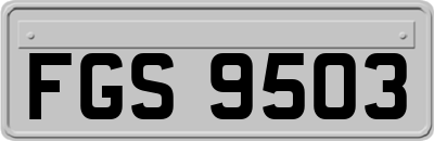 FGS9503