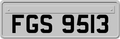 FGS9513