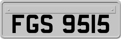 FGS9515