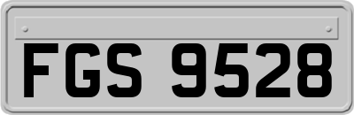 FGS9528