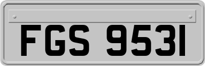 FGS9531