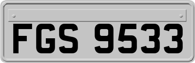FGS9533