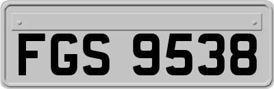 FGS9538