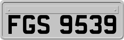 FGS9539