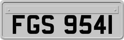 FGS9541