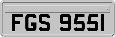 FGS9551
