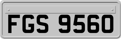 FGS9560
