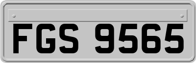 FGS9565