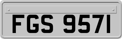 FGS9571