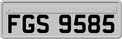 FGS9585