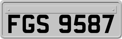 FGS9587