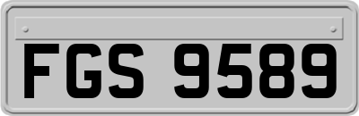 FGS9589