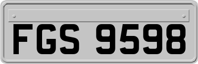 FGS9598