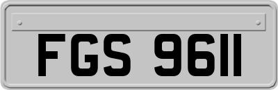 FGS9611