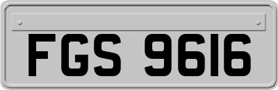 FGS9616
