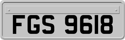 FGS9618