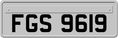 FGS9619