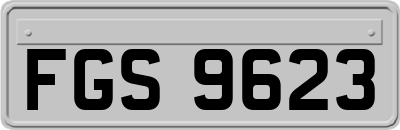 FGS9623