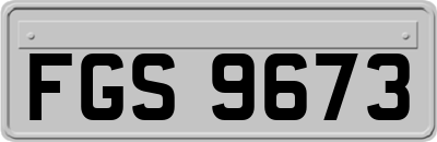FGS9673