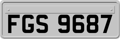 FGS9687