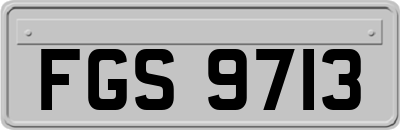 FGS9713