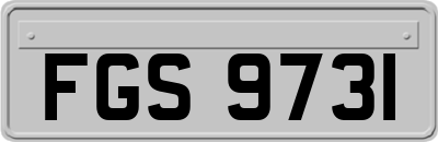FGS9731