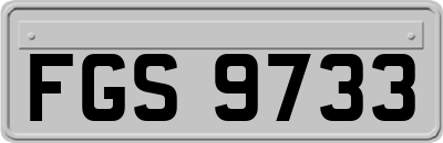 FGS9733