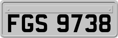 FGS9738