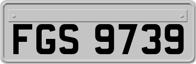 FGS9739