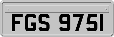 FGS9751