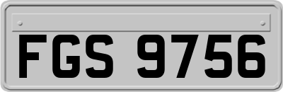 FGS9756