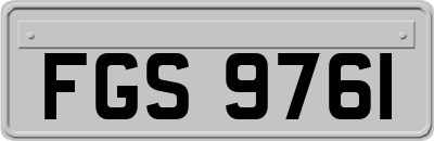 FGS9761