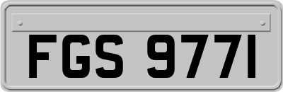 FGS9771