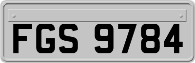 FGS9784