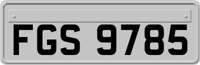 FGS9785