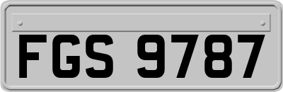 FGS9787